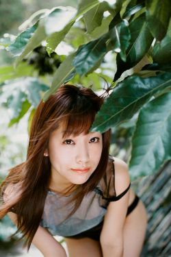 豪门总裁契约妻